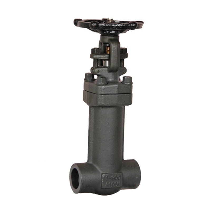 Bellows Sealed Gate Valves, API 602, A105N, 1 IN, 800 LB, SW