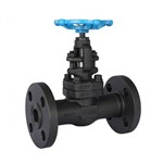 Bolted Bonnet Gate Valve, API 602, A105N, 1 Inch, CL300, RF