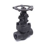 Bolted Bonnet Gate Valve, API 602, ASTM A105, 1 IN, 800 LB, SW End