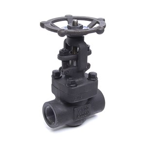 Bolted Bonnet Gate Valve, API 602, ASTM A105, 1 IN, 800 LB, SW End