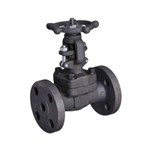 Bolted Bonnet Gate Valves, API 602, ASTM A105N, 1 IN, CL300