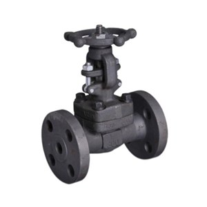 Bolted Bonnet Gate Valves, API 602, ASTM A105N, 1 IN, CL300