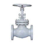 Bolted Bonnet Globe Valves, BS 1873, A216 WCB, 4 Inch, CL300