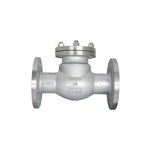 Bolted Bonnet Swing Check Valve, API 6D, ASTM A216 WCB, DN65, PN16