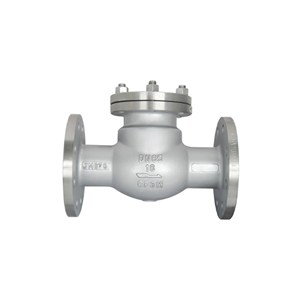 Bolted Bonnet Swing Check Valve, API 6D, ASTM A216 WCB, DN65, PN16
