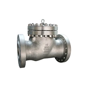 Bolted Bonnet Swing Check Valve, API 6D, CF8M, 10 IN, CL900