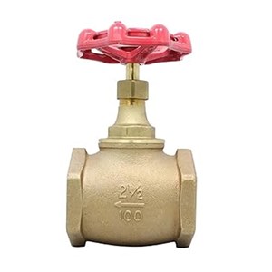 Bronze Globe Valve, MSS SP-80, BS 5154, 2-1/2 Inch, CL100, FNPT