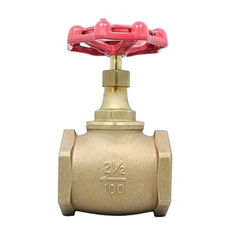 Bronze Globe Valve, MSS SP-80, BS 5154, 2-1/2 Inch, CL100, FNPT