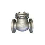 BS 1868 Check Valves, ASTM A216 WCB, 3 IN, 150 LB, DN150, RF