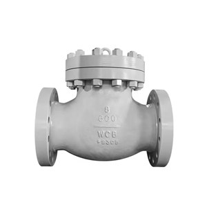 BS 1868 Swing Check Valve, ASTM A216 WCB, 8 Inch, CL600, RF