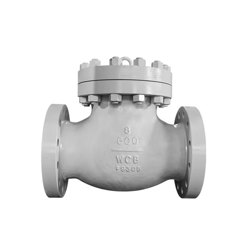 BS 1868 Swing Check Valve, ASTM A216 WCB, 8 Inch, CL600, RF