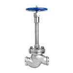 BS 1873 Cryogenic Globe Valve, ASTM A351 CF8, DN65, PN40, BW