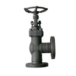 Carbon Steel Angle Globe Valve, API 602, A105N, RTJ, Custom