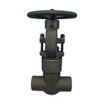 Carbon Steel ASTM A105N Gate Valve, API 602, 2 Inch, 2500 LB