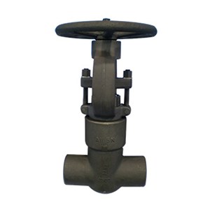 Carbon Steel ASTM A105N Gate Valve, API 602, 2 Inch, 2500 LB