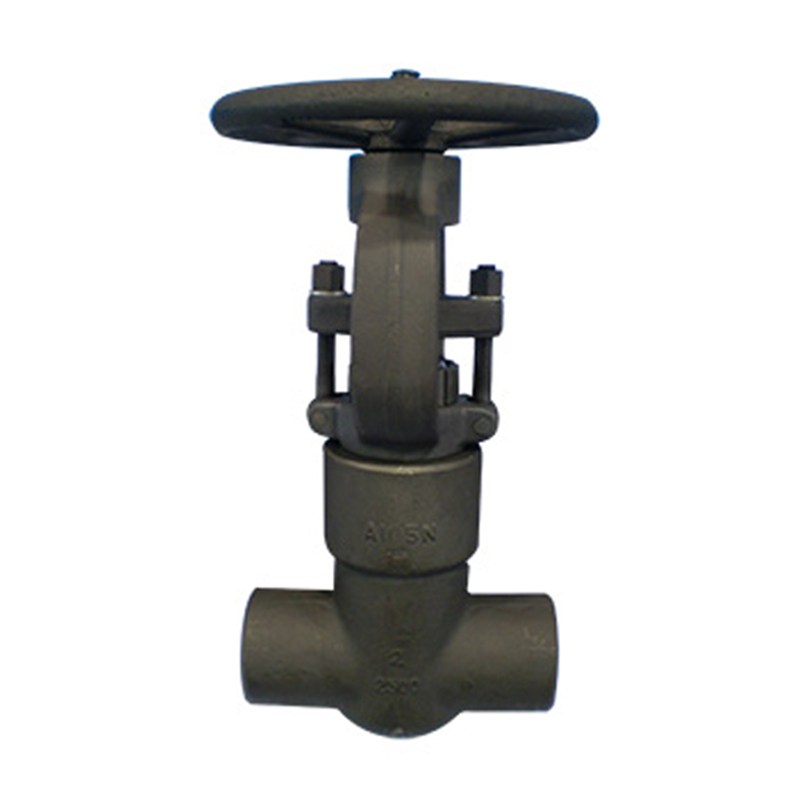Carbon Steel ASTM A105N Gate Valve, API 602, 2 Inch, 2500 LB