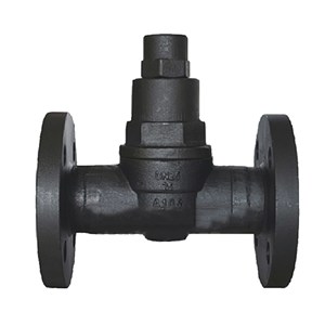 Carbon Steel Bimetallic Steam Trap, EN 26704, ASTM A105, DN15