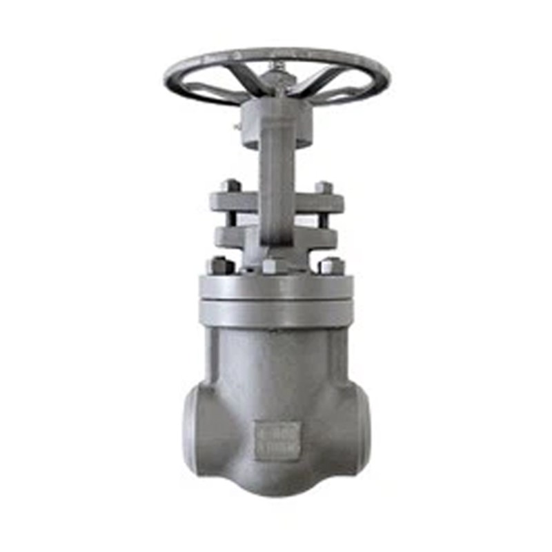 Carbon Steel Gate Valves, API 602, A105N, 4 Inch, 800 LB, BW
