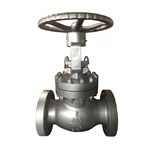 Carbon Steel Globe Valve, BS 1873, A216 WCB, 6 IN, CL600, RF