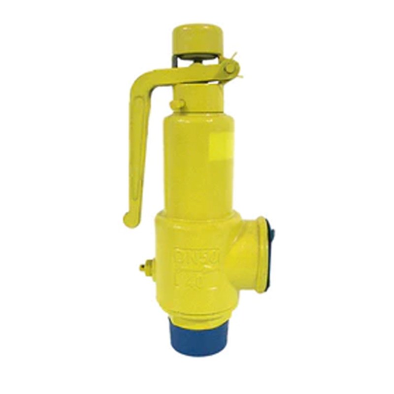 Carbon Steel Safety Valve, API 526, ASTM A216 WCB, DN50, PN40