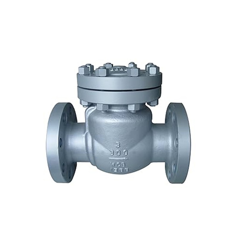 Carbon Steel Swing Check Valve, API 6D, WCB, 3 IN, CL300, RF