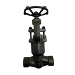 Class 1700 LB Globe Valve, API 602, A105N, 1-1/2 IN, PSB, SW