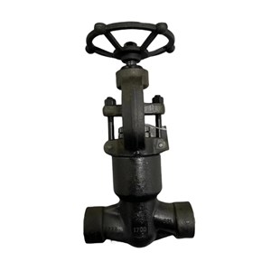 Class 1700 LB Globe Valve, API 602, A105N, 1-1/2 IN, PSB, SW