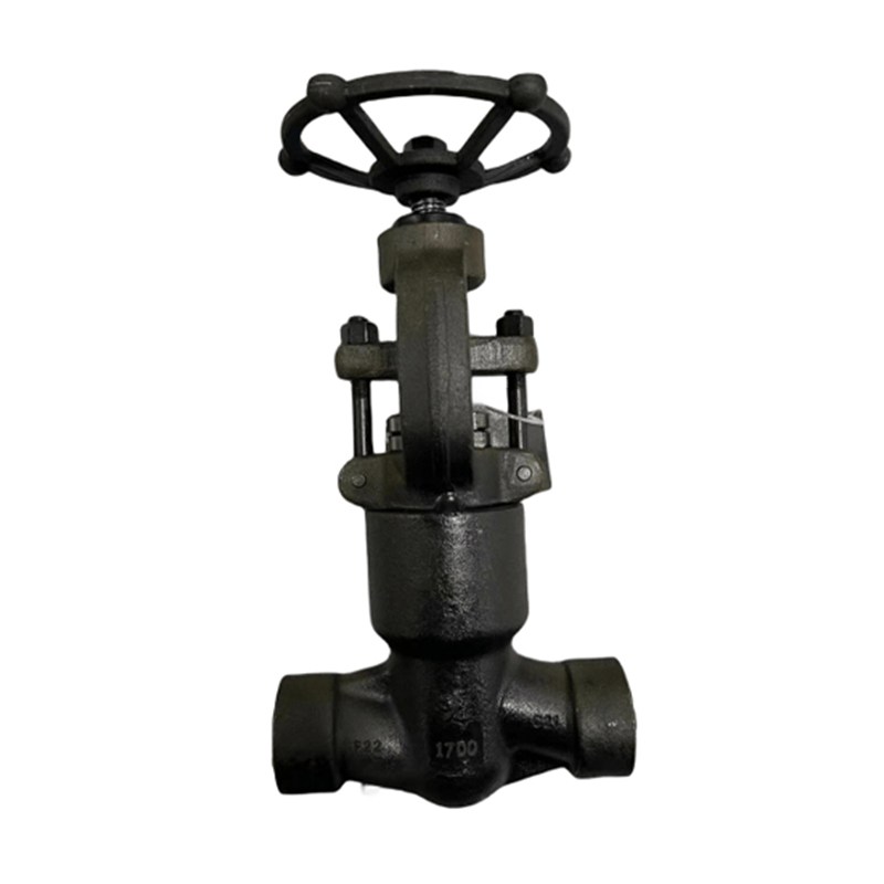 Class 1700 LB Globe Valve, API 602, A105N, 1-1/2 IN, PSB, SW