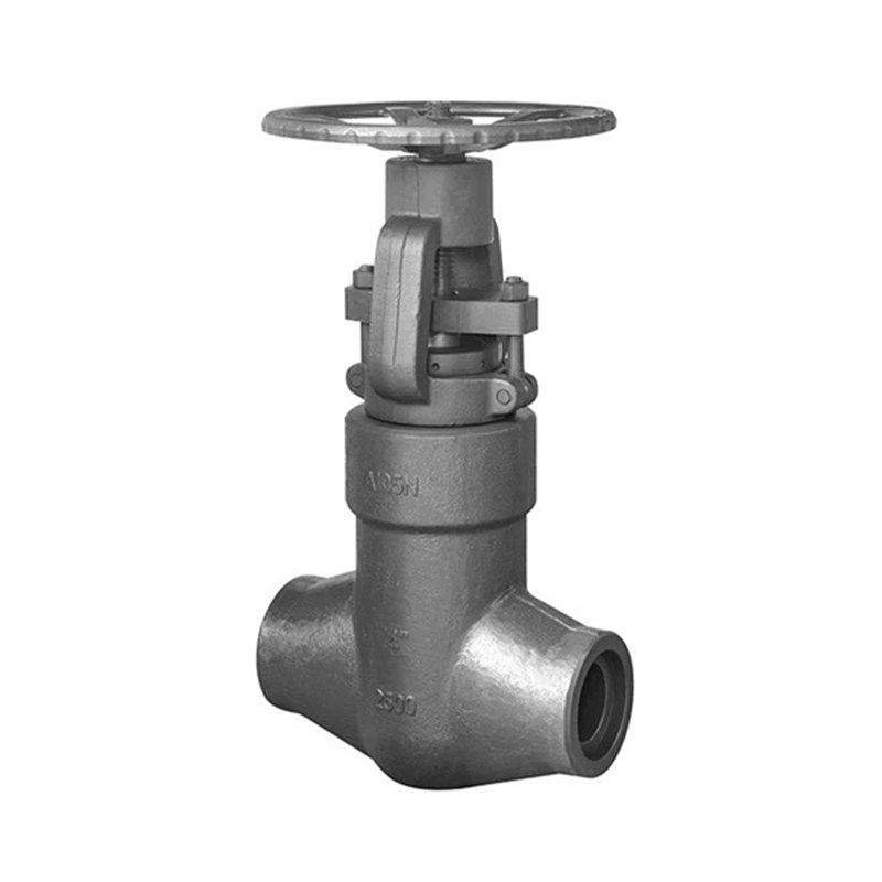 Class 2500 LB Gate Valve, API 602, ASTM A105N, 4 IN, CL2500, PSB, SW