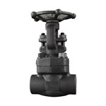 Class 800 LB Gate Valve, API 602, ASTM A105N, 1 IN, DN25, SW