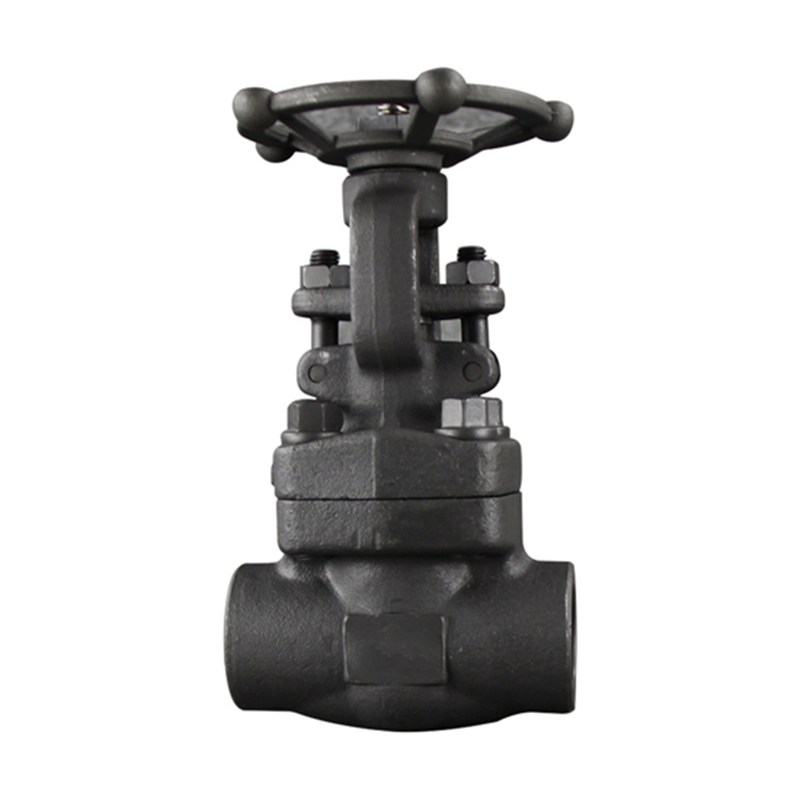 Class 800 LB Gate Valve, API 602, ASTM A105N, 1 IN, DN25, SW