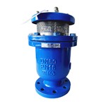 Composite Air Release Valve, ASTM A216 WCB, DN80, PN16, RF