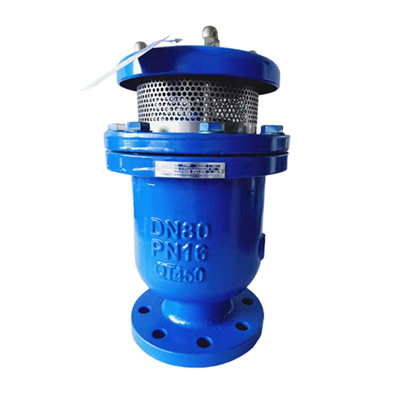 Composite Air Release Valve, ASTM A216 WCB, DN80, PN16, RF