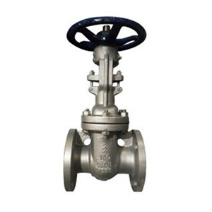 Cryogenic Gate Valve, API 602, ASTM A182 F304, 2 IN, CL150