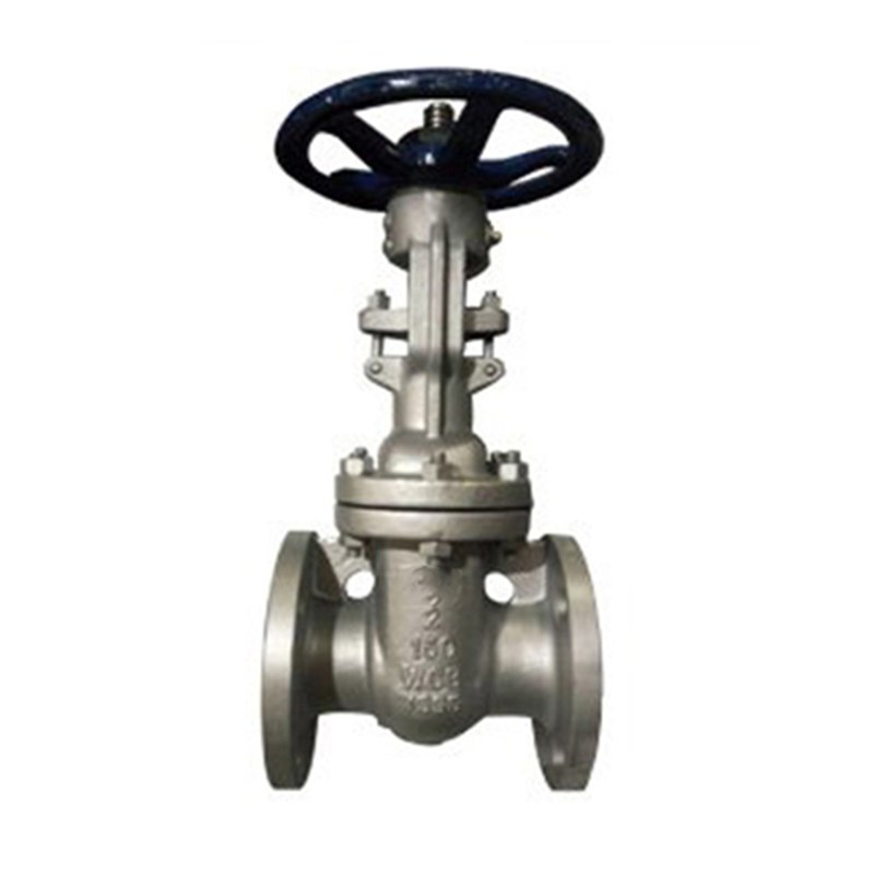 Cryogenic Gate Valve, API 602, ASTM A182 F304, 2 IN, CL150