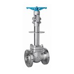 Cryogenic Globe Valve, API 602, ASTM A182 F304, 2 IN, CL150