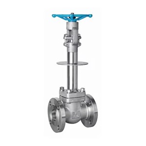 Cryogenic Globe Valve, API 602, ASTM A182 F304, 2 IN, CL150