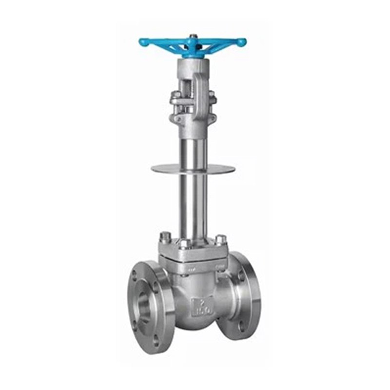 Cryogenic Globe Valve, API 602, ASTM A182 F304, 2 IN, CL150