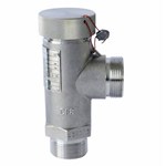 Cryogenic Safety Valve, A351 CF8, DN20, PN16, Threaded Ends