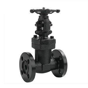 Custom Bellows Sealed Gate Valve, API 602, A105N, Handwheel