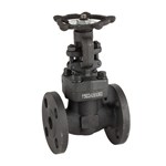 Custom Forged Gate Valve, API 602, ASTM A105N, Bolted Bonnet