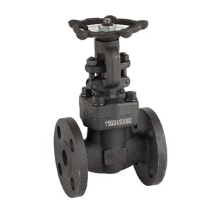 Custom Forged Gate Valve, API 602, ASTM A105N, Bolted Bonnet
