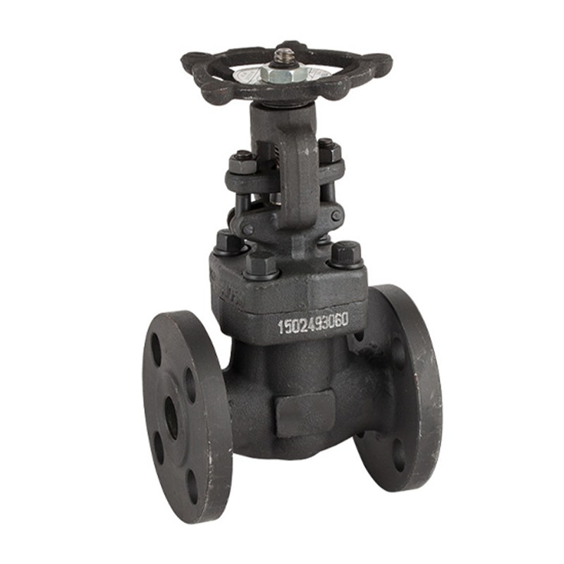 Custom Forged Gate Valve, API 602, ASTM A105N, Bolted Bonnet