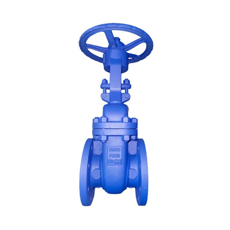 DIN 3352 F4 Wedge Gate Valve, EN 1.0619, DN80, PN16, BB, RF