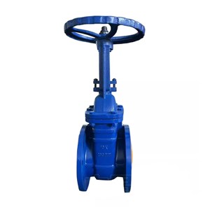 DIN 3352 F4 Wedge Gate Valves, ASTM A216 WCB, PN16, RF, OS&Y