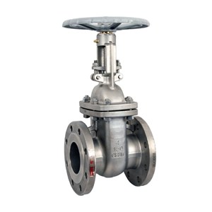 DIN 3352 Wedge Gate Valve, ASTM A216 WCB, 4 IN, CL150, BB