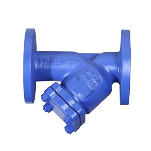 DIN 3352 Y Type Strainers, GS-C25, SS 304 Screen, DN50, PN25