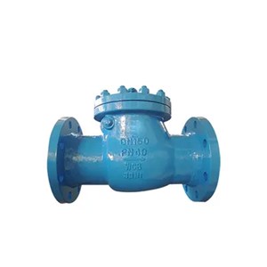 DIN 3356 Swing Check Valves, A216 WCB, DN150, PN40, RF