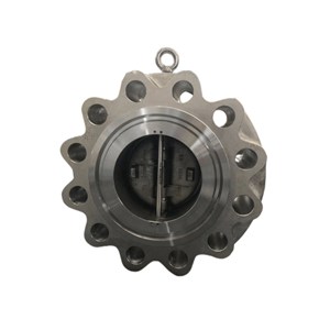 Double Door Check Valve, API 594, ASTM A216 WCB, Customized