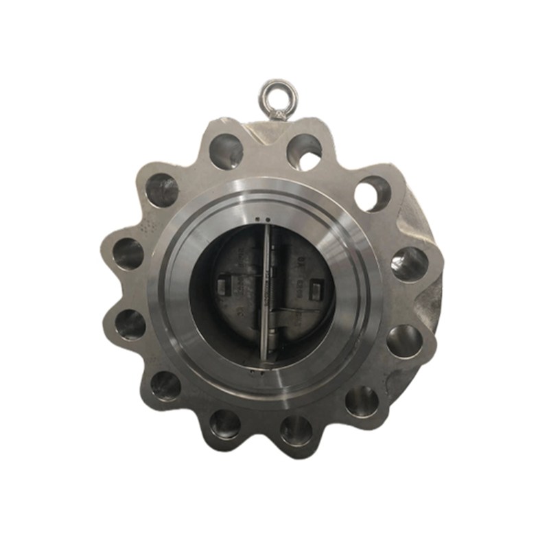 Double Door Check Valve, API 594, ASTM A216 WCB, Customized